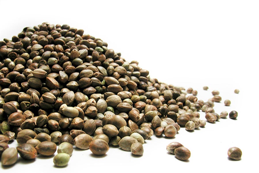 Hempseeds Lemon Hemparoons