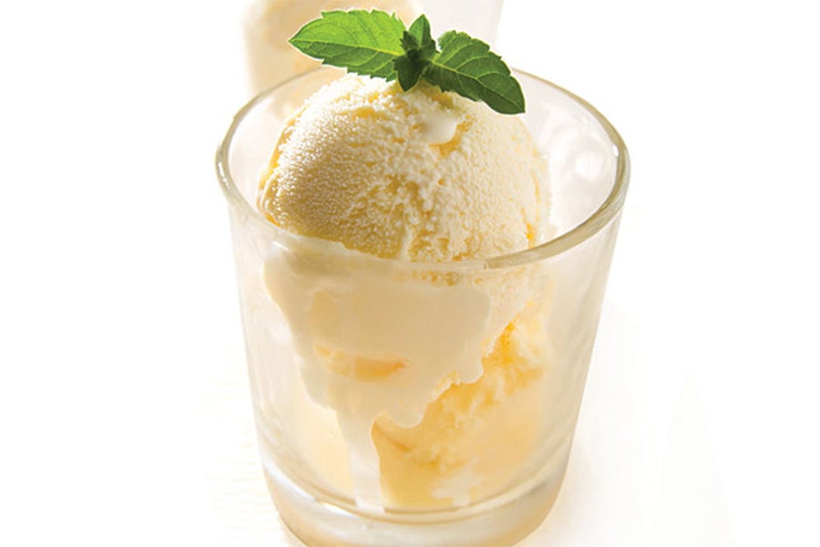 Ice Cream Brazilian Vanilla Ice Cream