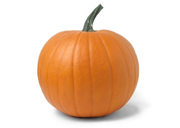 Image placeholder title None