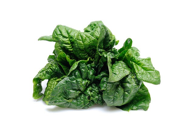 Image placeholder title None