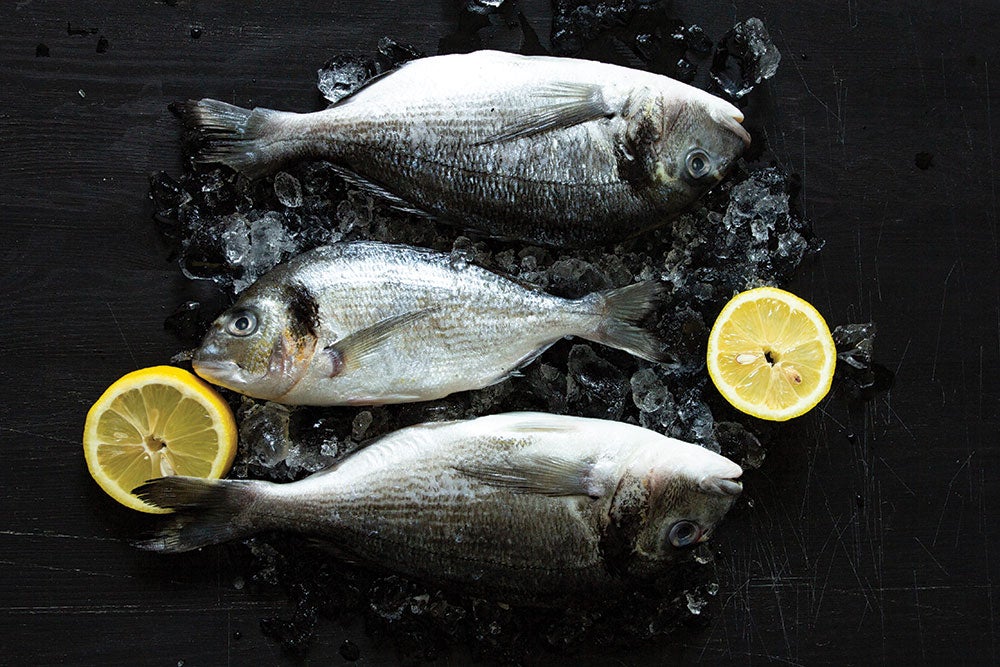 Fishy fish recipes