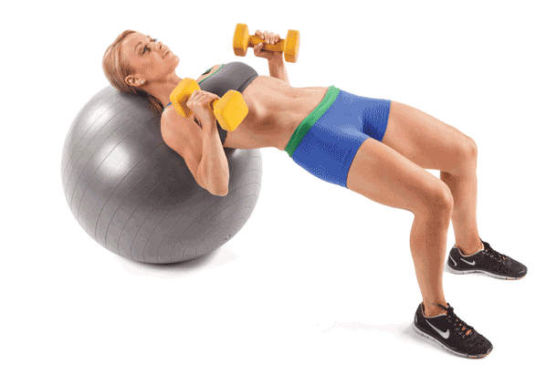 Image placeholder title Stability-Ball Reverse-Grip Dumbbell Press GIF