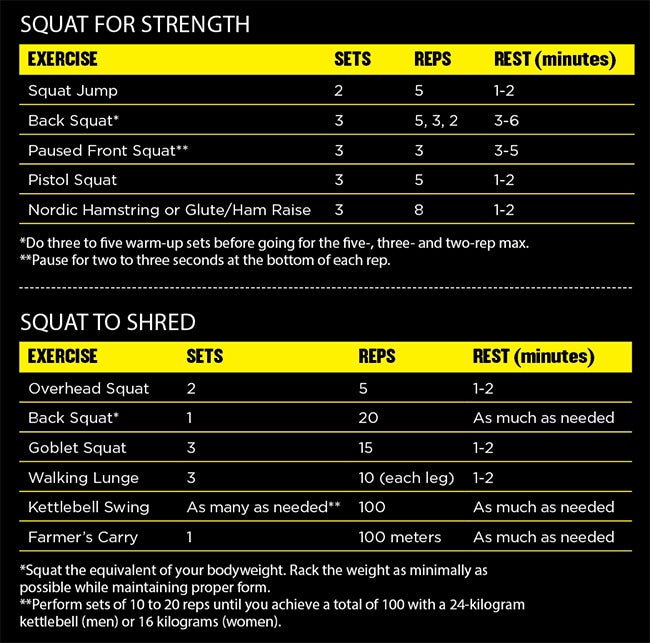 Screen-Shot-2017-02-06-at-11.31.42-AM Two Squat Workouts