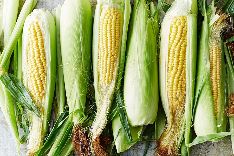 Corn Organic corn