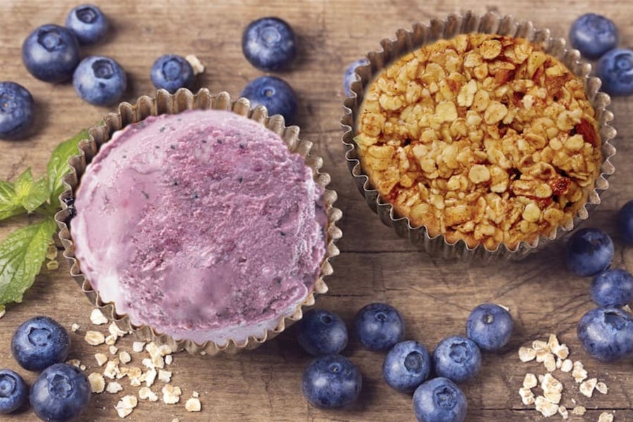 FroYoCups Blueberry Fro-Yo Cups