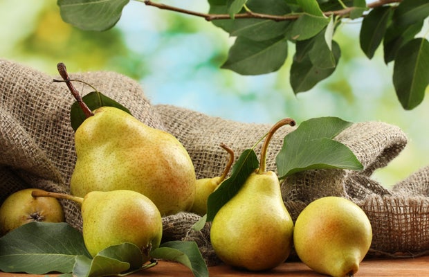 Pears None