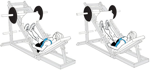 Calf Raise on Leg Press None