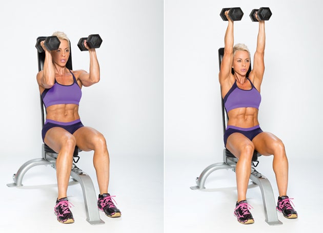 Seated Dumbbell Press None