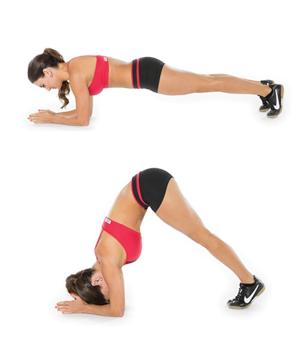 Dolphin-Plank None