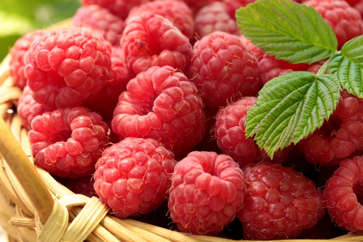 shutterstock_686483431 raspberries high-fiber