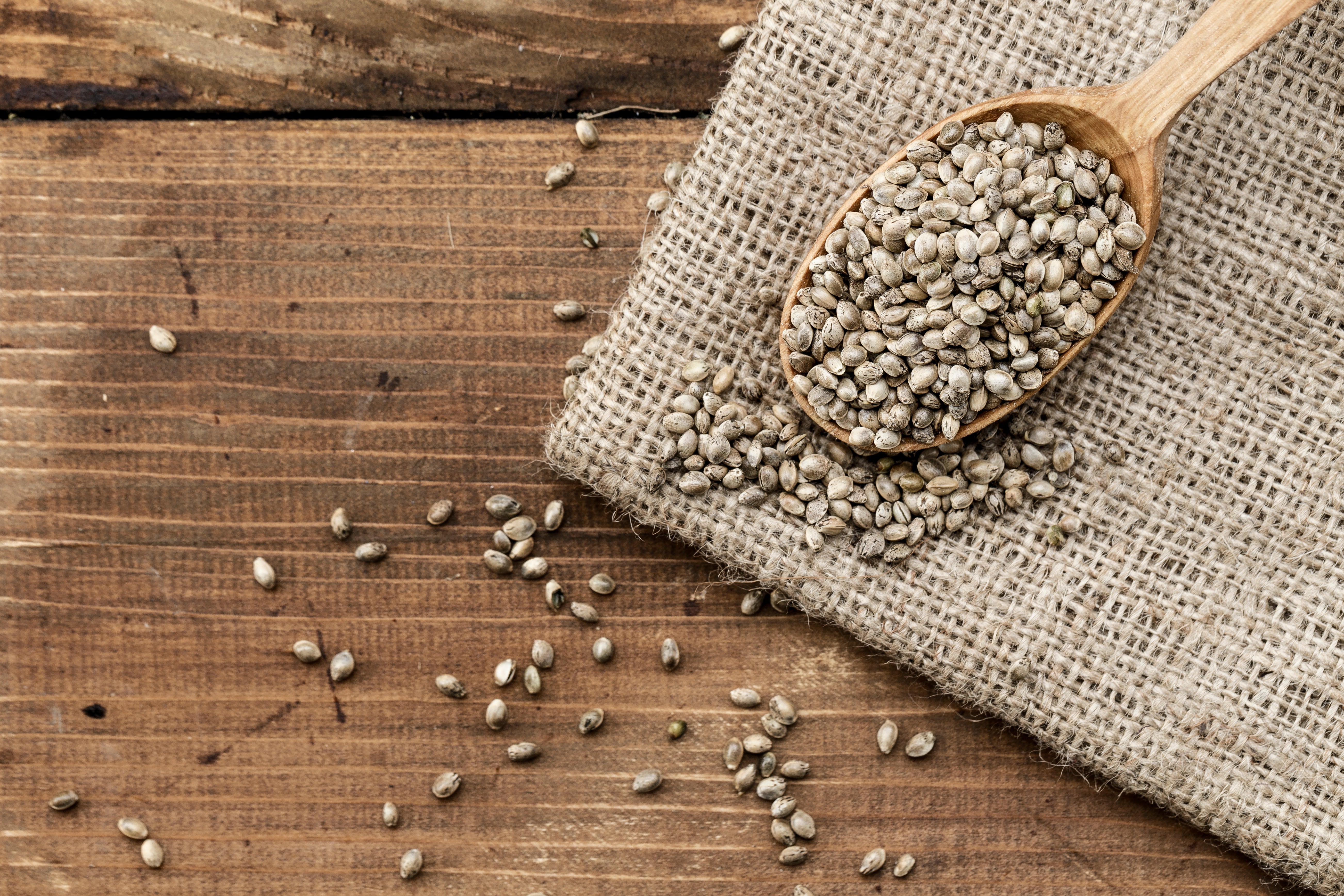 hempseeds as a nutrient-dense food