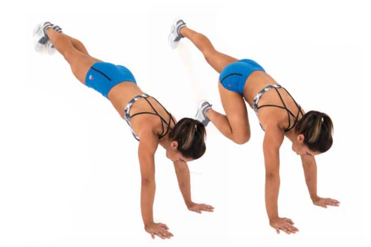 Wall Walk Wall Mountain Climber - Ladder Workout