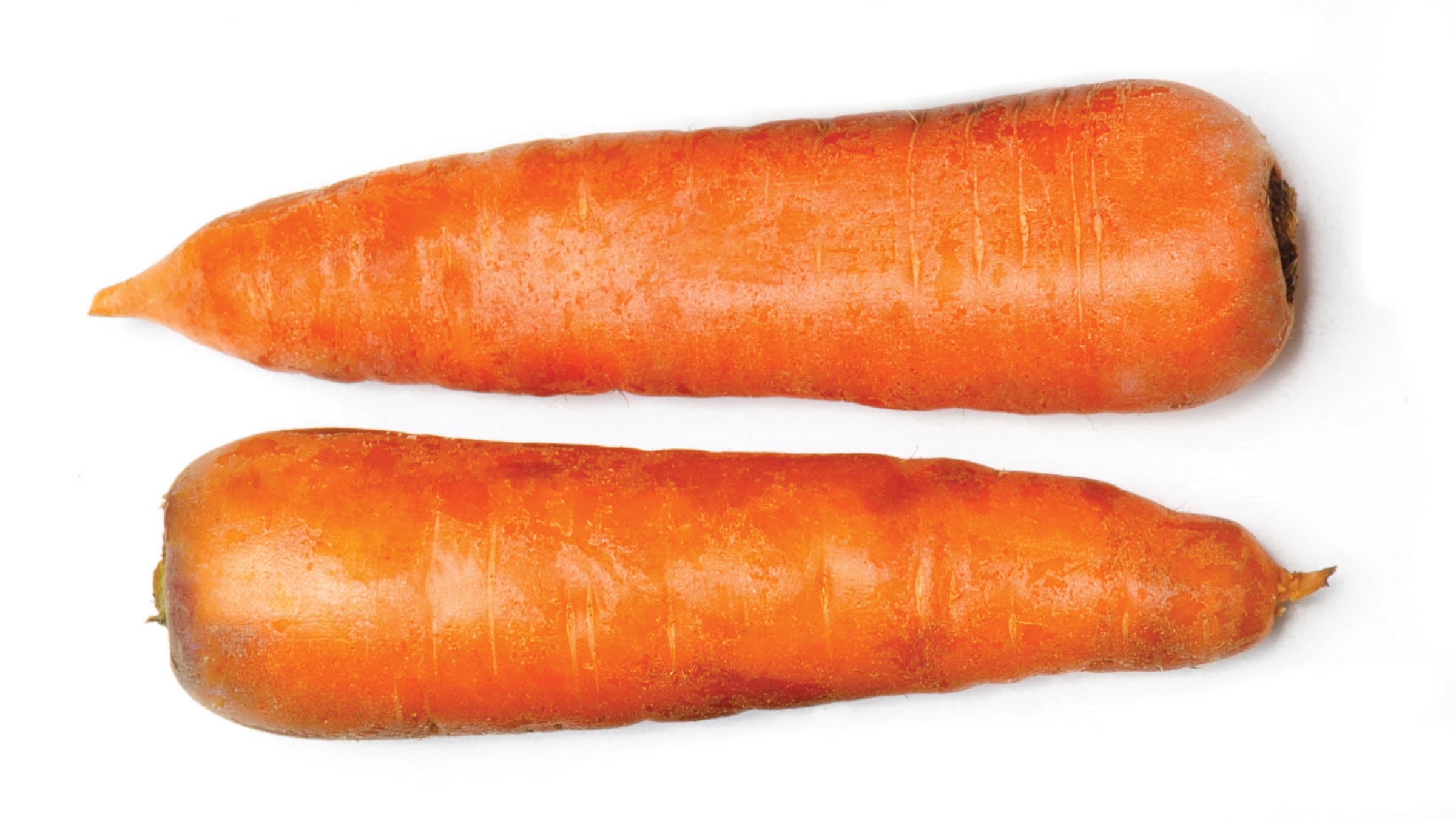 Two carrots on white background