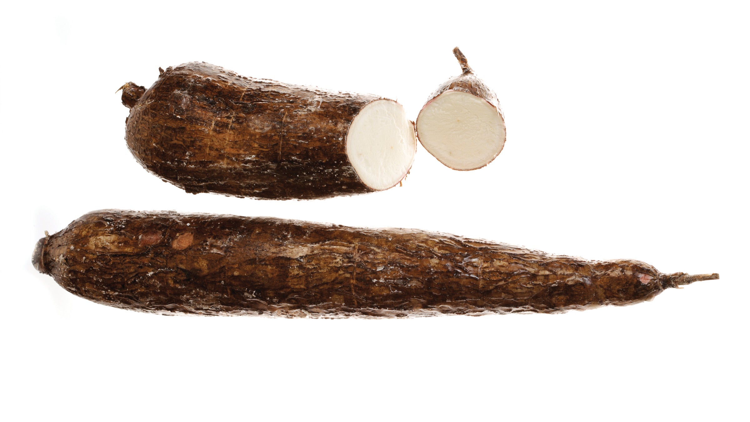 Cassava root
