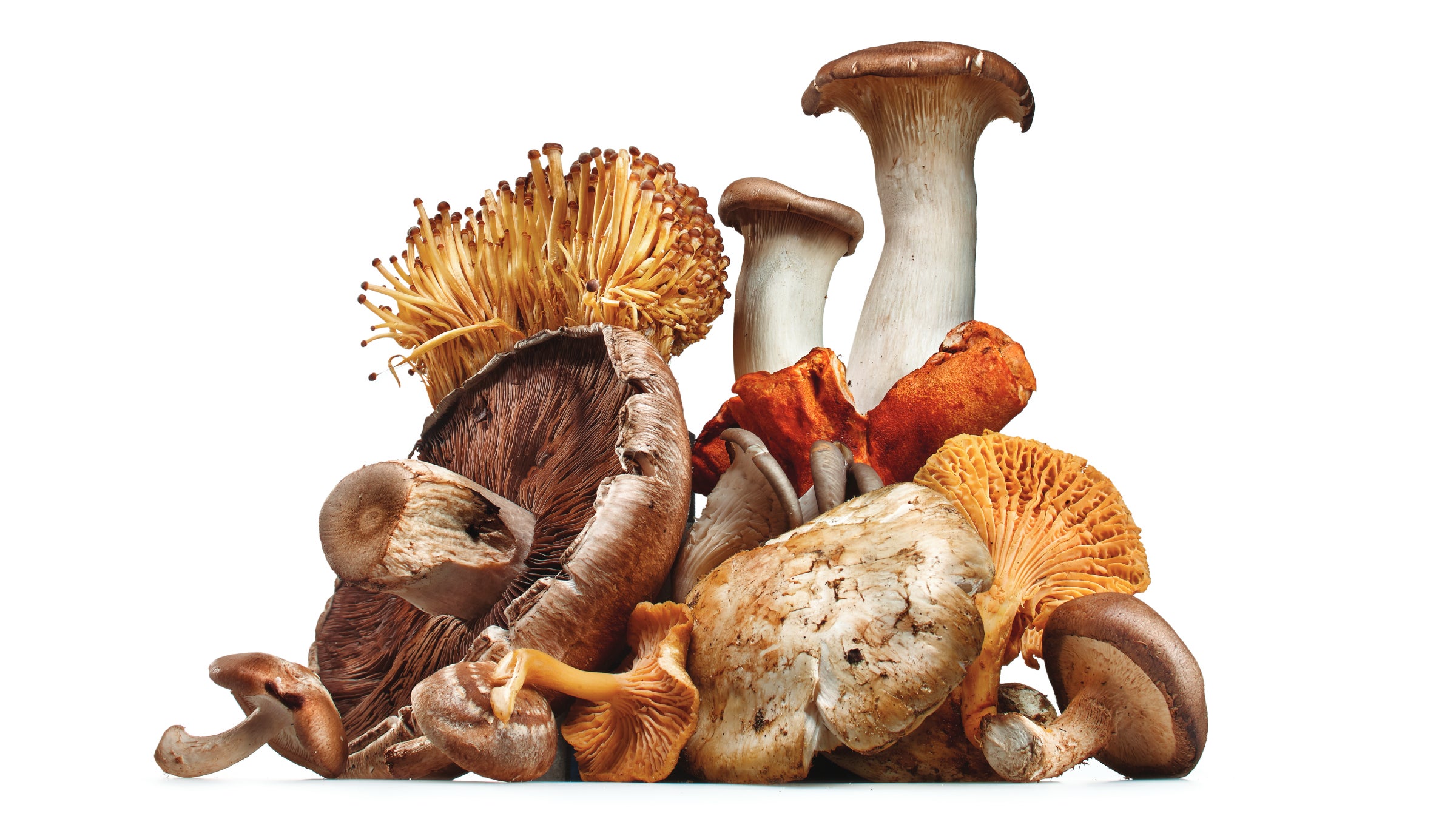 Variety of different mushrooms